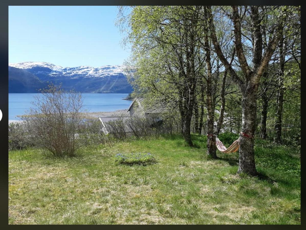 Graceland Norway Foldereid Luaran gambar