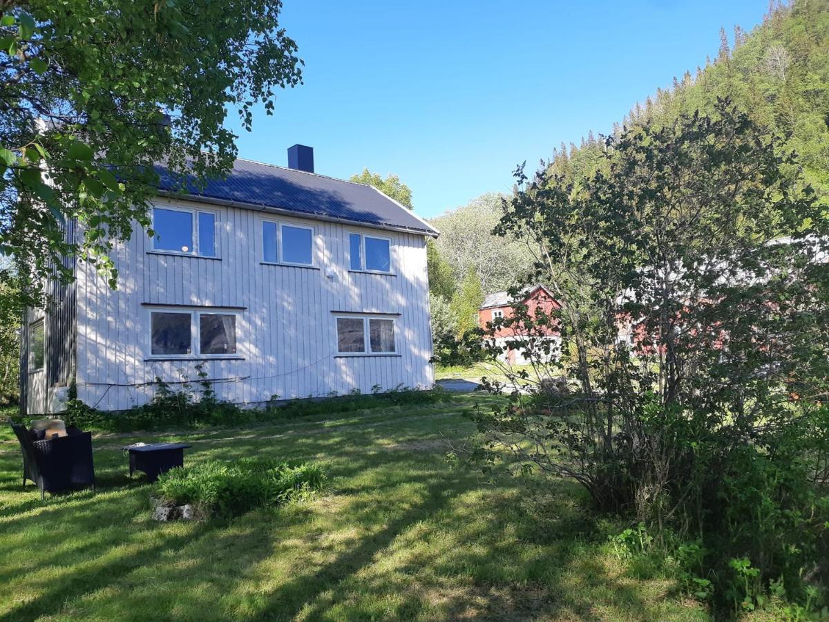 Graceland Norway Foldereid Luaran gambar