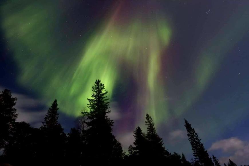Graceland Norway Foldereid Luaran gambar