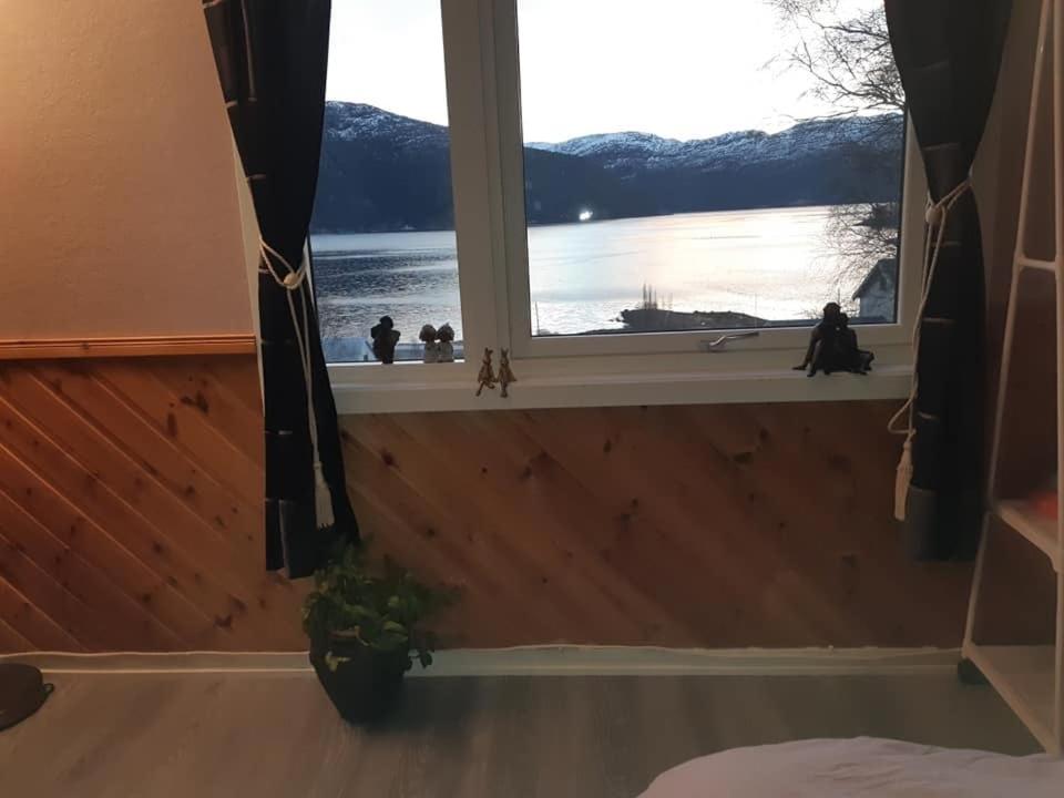 Graceland Norway Foldereid Luaran gambar