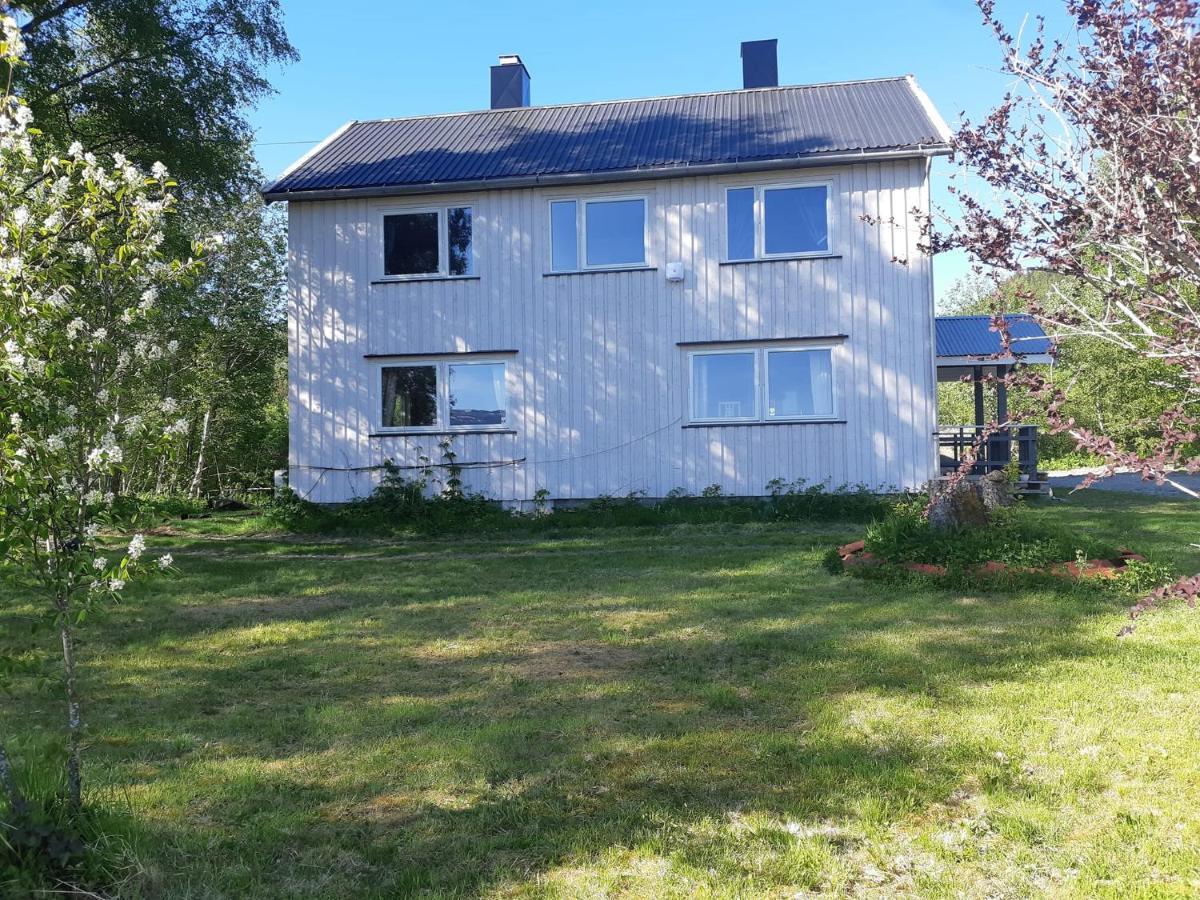 Graceland Norway Foldereid Luaran gambar