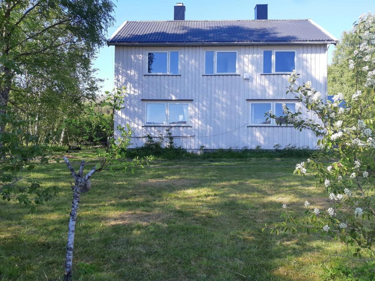 Graceland Norway Foldereid Luaran gambar